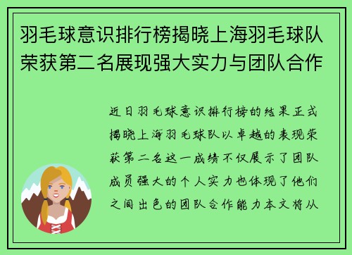 羽毛球意识排行榜揭晓上海羽毛球队荣获第二名展现强大实力与团队合作