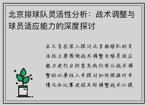 北京排球队灵活性分析：战术调整与球员适应能力的深度探讨